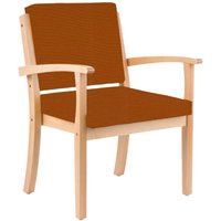einrichtungsdesign24 Stuhl für Schwergewichtige mit Armlehnen bis 250kg Alexander XXL
