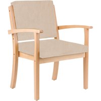 einrichtungsdesign24 Stuhl für Schwergewichtige mit Armlehnen bis 250kg Alexander XXL