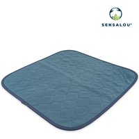 Sensalou Inkontinenz Stuhlauflage Sitzauflage wasserdicht waschbar 45x45 cm blau